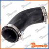 Gaine de suralimentation pour CITROEN | GPP-CT-029, 43SKV253
